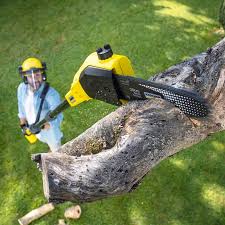 Best Aeration Services  in Hidden Valley Lake, CA